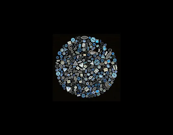 Nanotech Diatoms