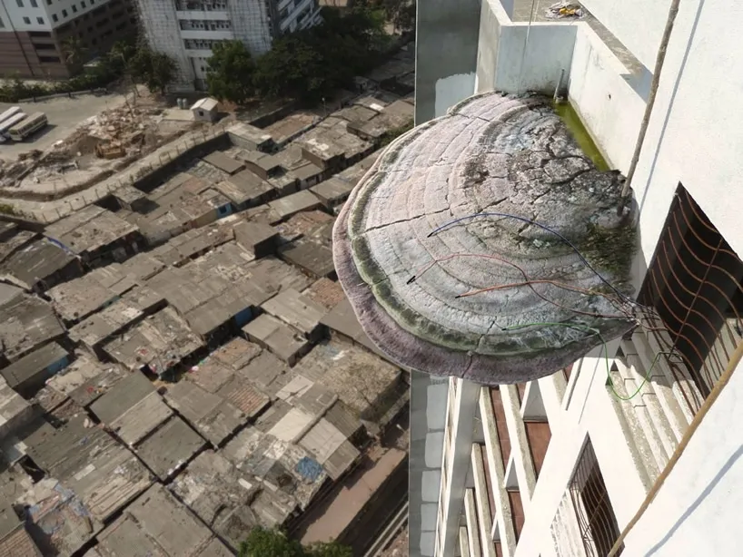 Power, Water and Shelter from Giant Mushrooms?