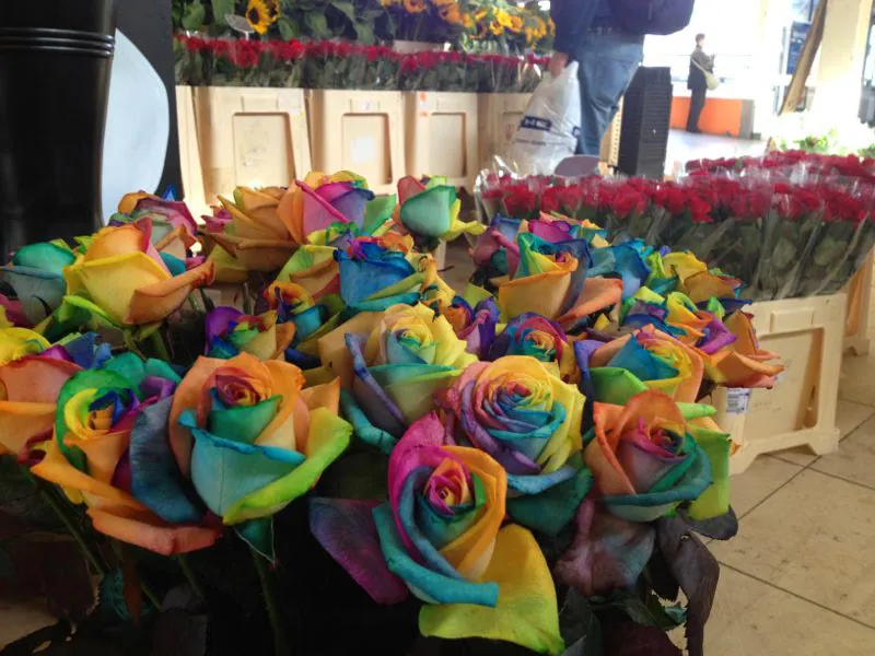 Rainbow Roses