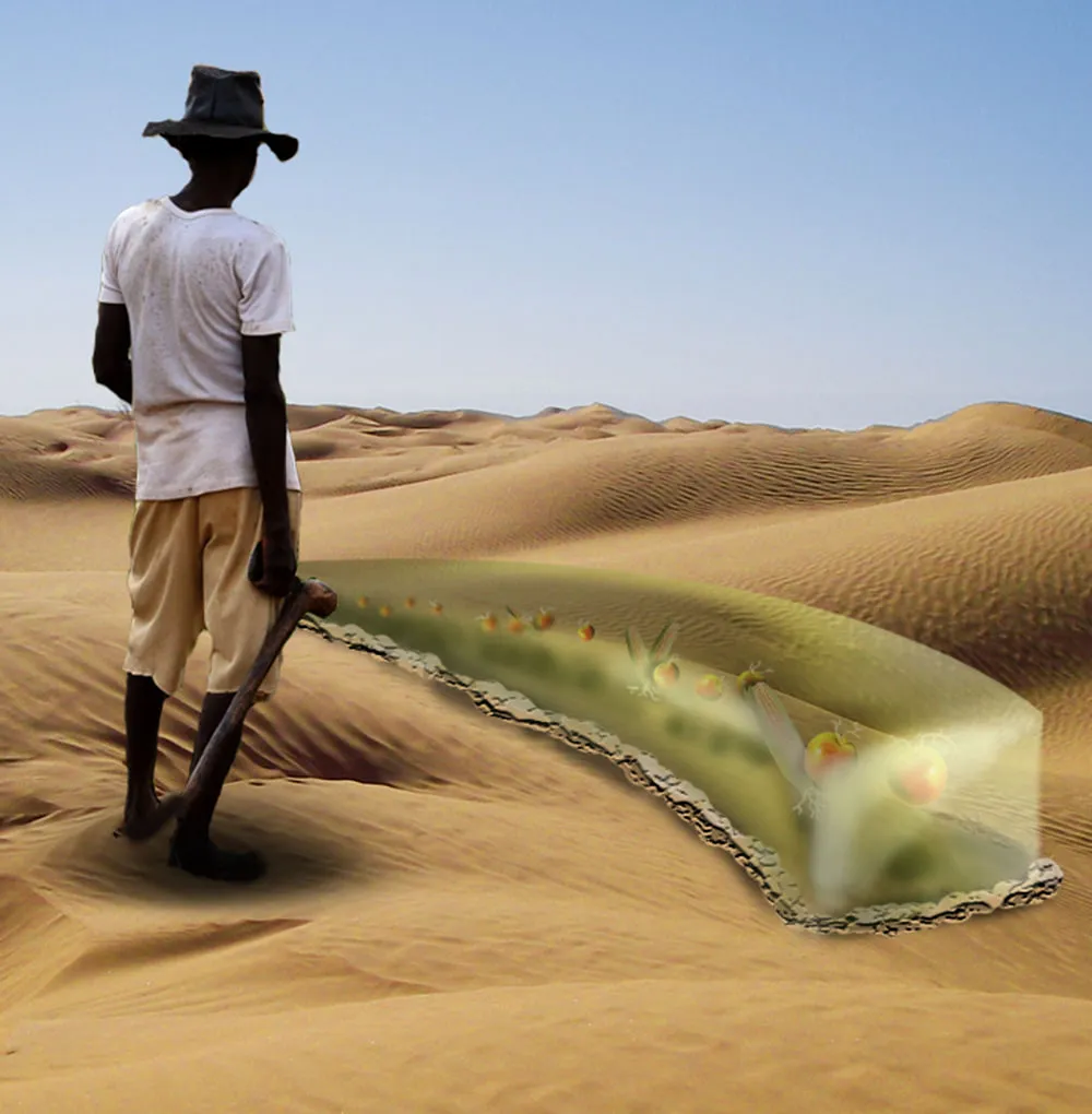 Raise Crops on the Moon with Plant-Growing Jelly