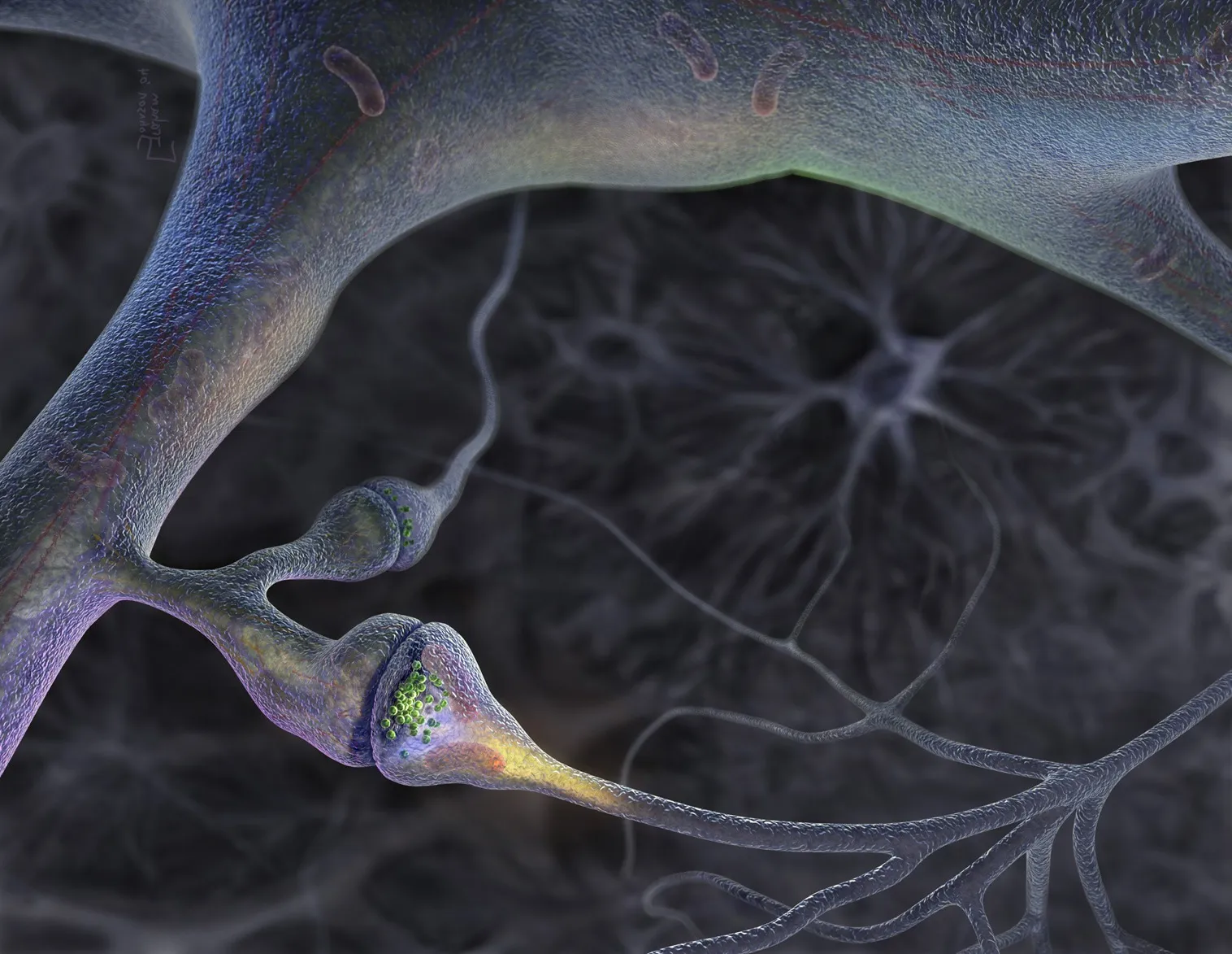 Replacing Synapses with a Single Switch