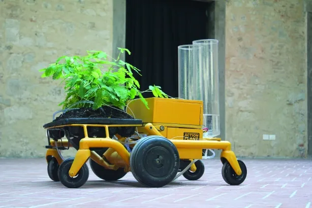 The Action Plant Runs Away from Your Touch