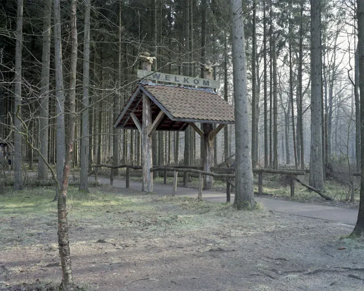 Welcome to the Woods