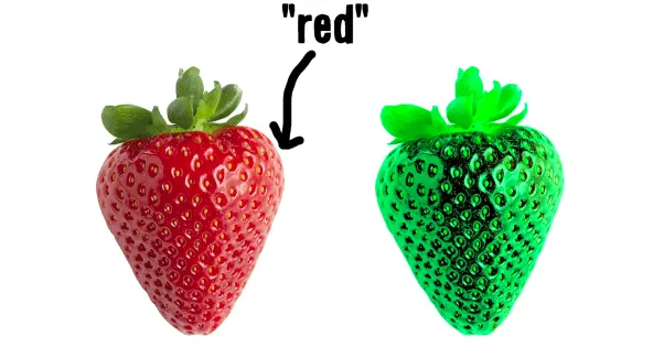 Are We Seeing the Same Thing?