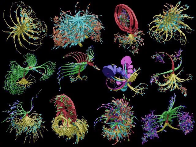 Artifice Earth: Adam Rutherford on the Promises of Synthetic Biology