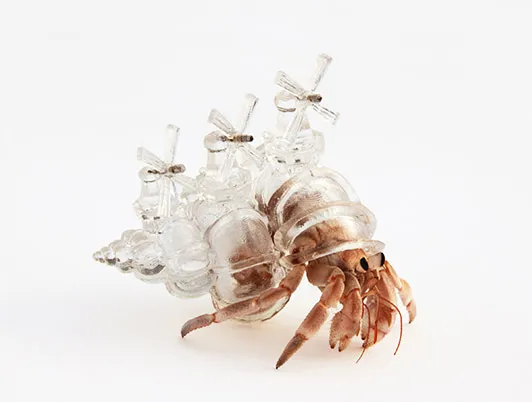 Crystalline Cityscapes for Homeless Hermit Crabs