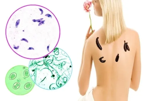 Engineering Beneficial Parasites