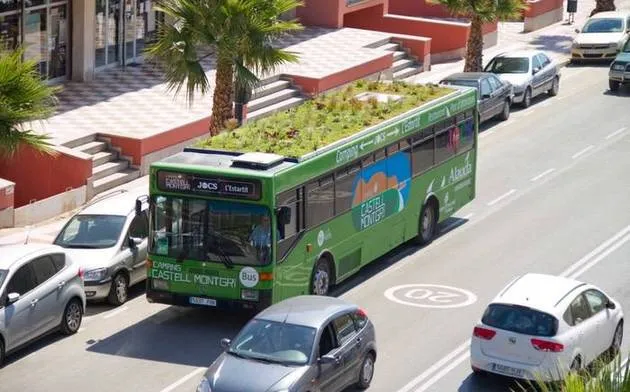 Gardening on the Roof of a Bus