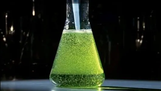 Grow Your Own - Call for Projects