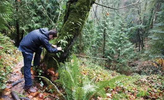 Hipster Hunter-Gatherers Ravage Portland