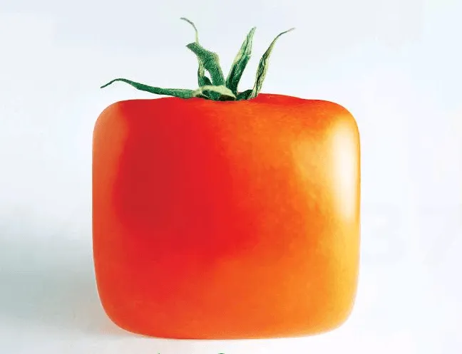 In-Vitro Meat Visions in The Guardian