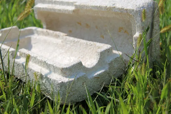 Mushrooms to Grow Surfboards, Shoes, and Even Your House