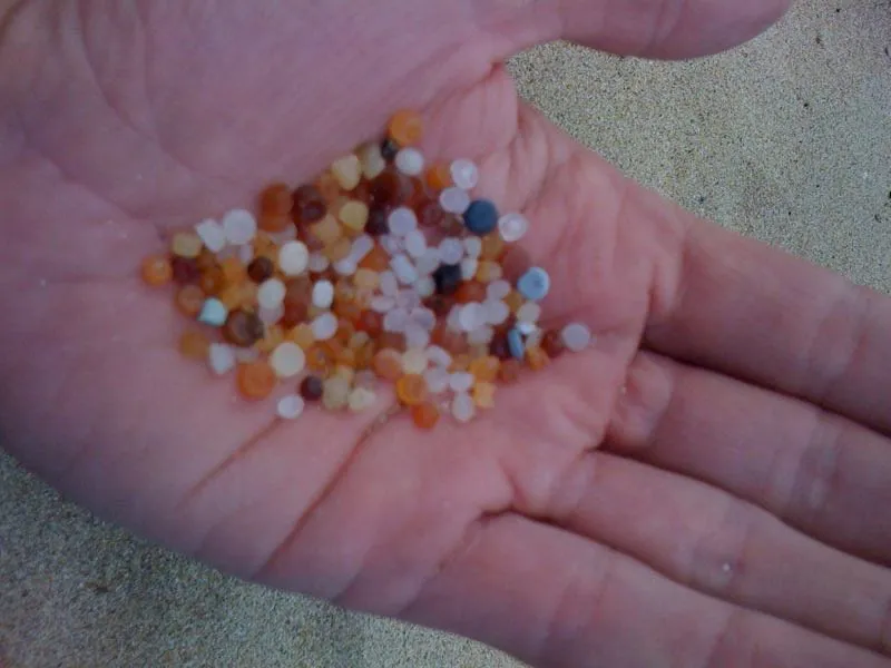 Plastic is a new material in the Earths ecosystem