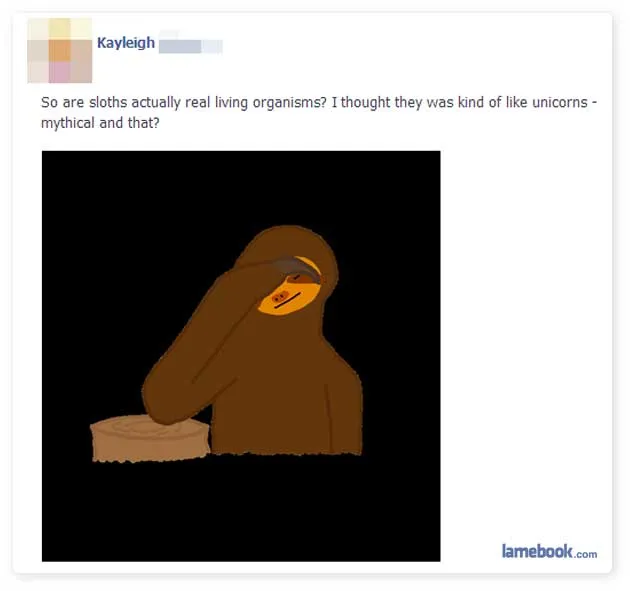 Sloths and Other Imaginary Animals