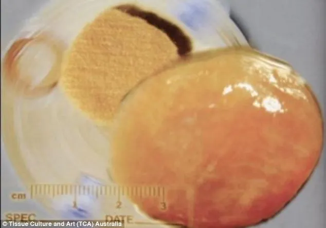 The 10th Anniversary of the World's First Lab-Grown Steak