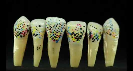 The Prefuture of Synthetic Biology