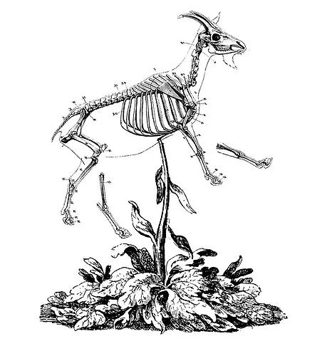 The Sci-Fi Prehistory of "Victimless" Meat