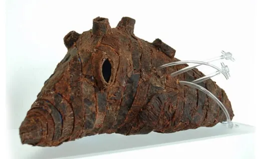 'Victimless Shelter' Grown from Pig Cells