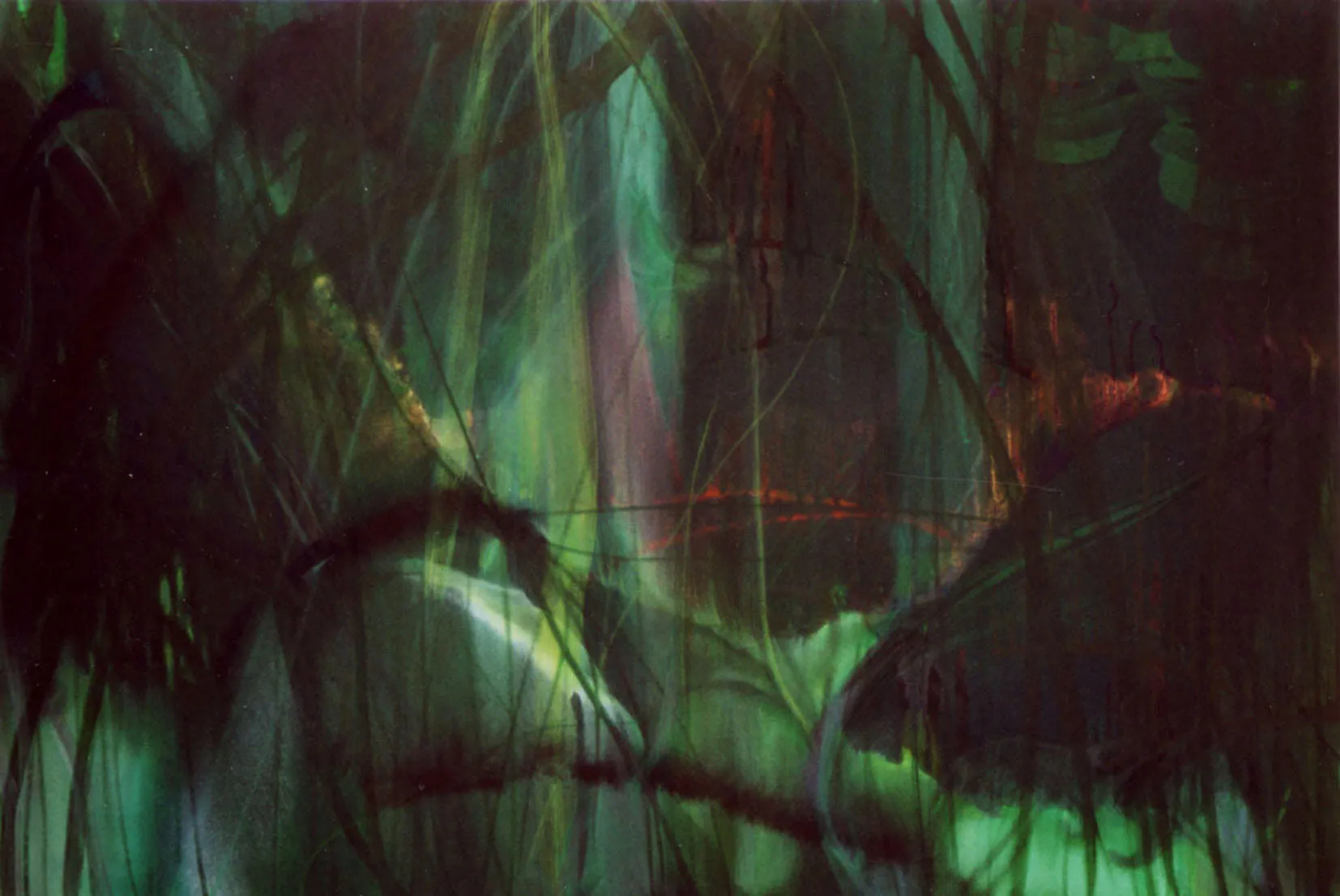 Werner Herzog on "Old" Nature