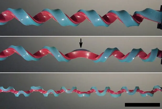 Hemihelix: A New Geometric Shape