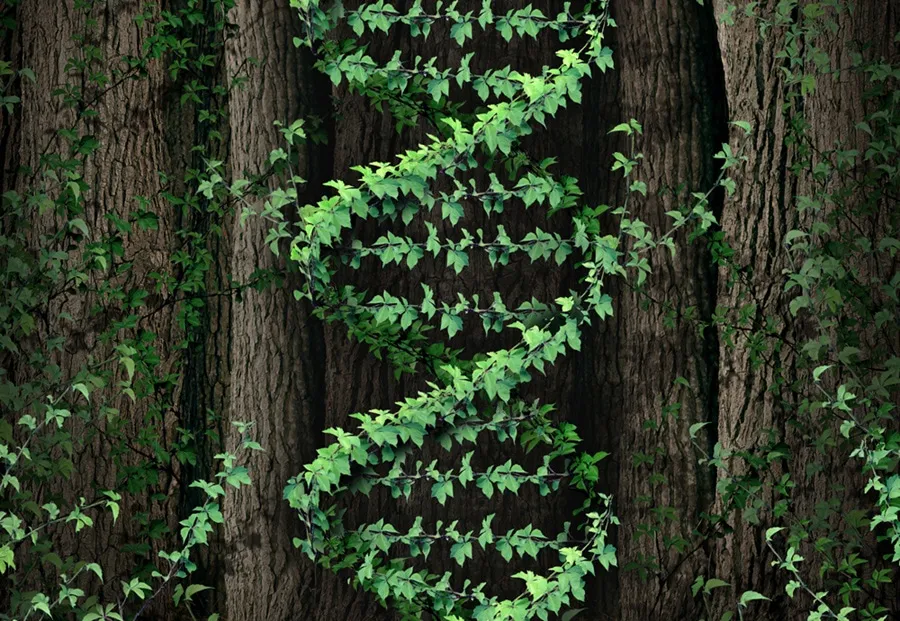 Reinventing Nature with Synthetic Biology