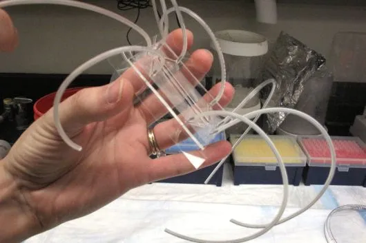 Drugs Testing with Artificial Organs