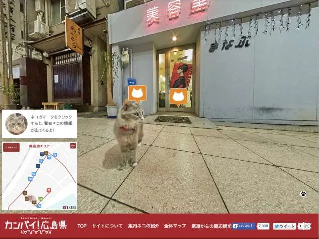 Forget Google Street View, Here's Cat Street View