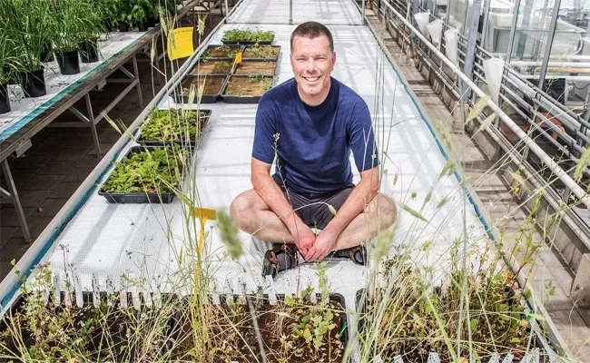 Edible Crops Grown in Martian Soil