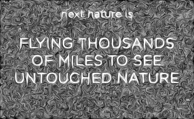 What Is Next Nature? #6