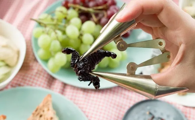 Cutlery Set to Eat Bugs