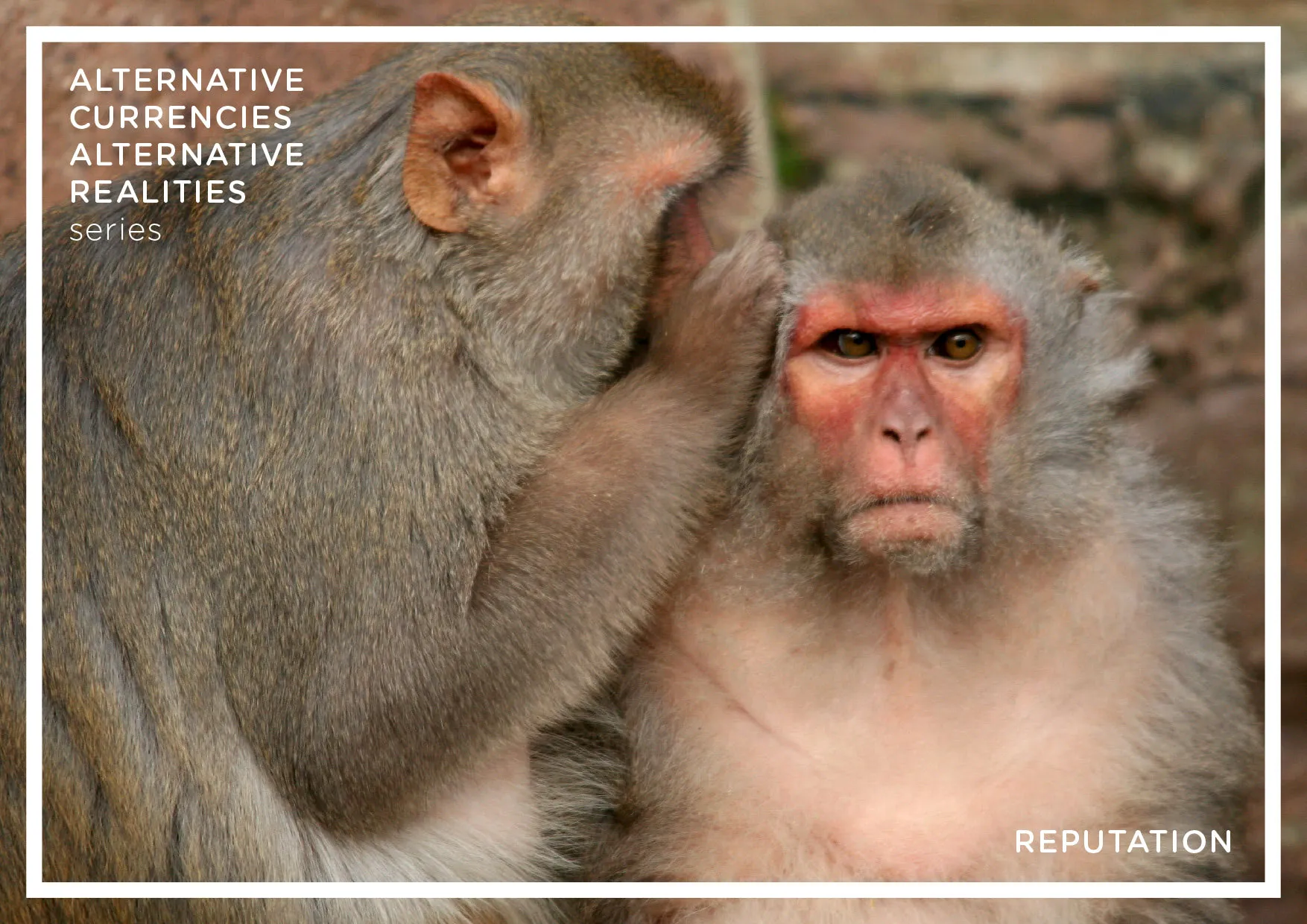 Rating the Reputation Economy