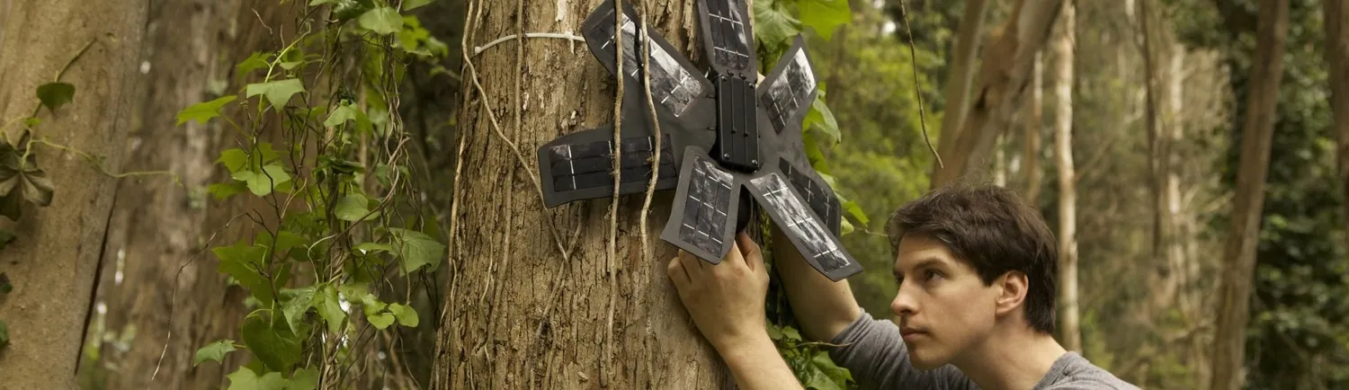 Old Cellphones to Fight Deforestation