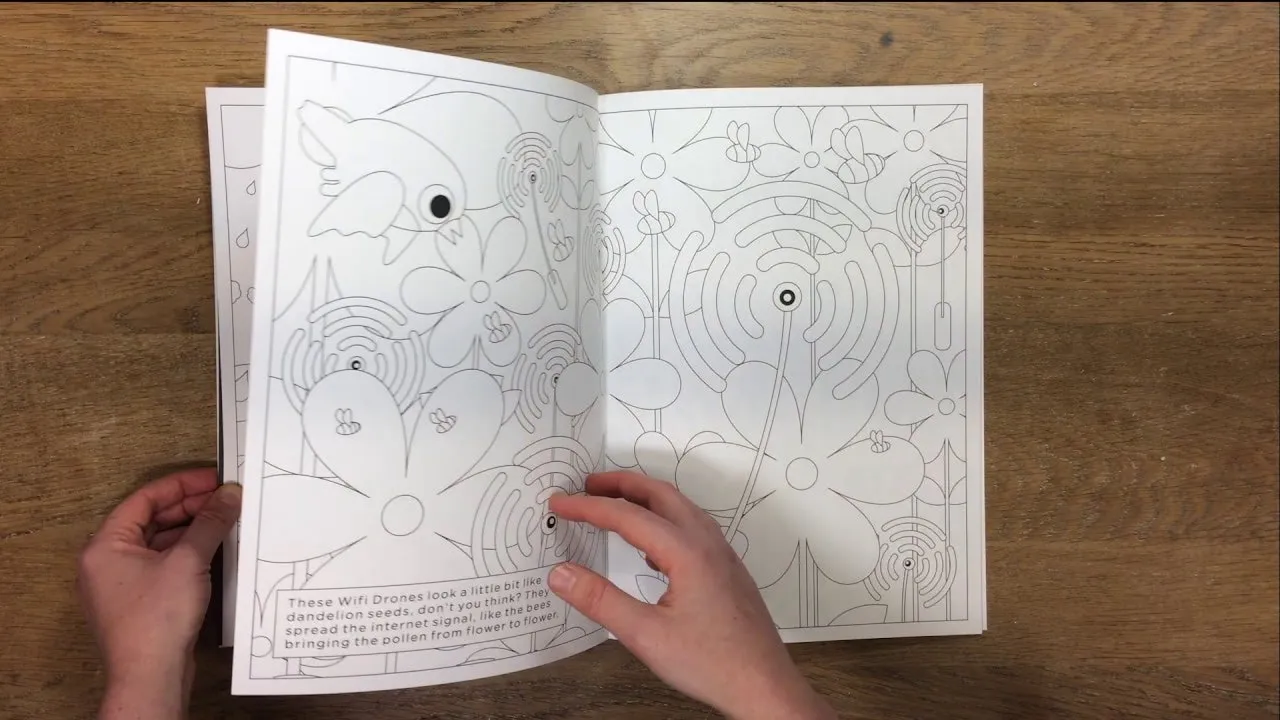 What's Flying There? Flip Through