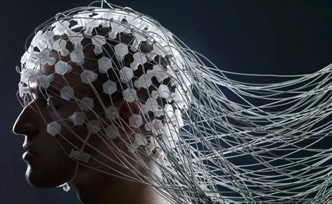 Scientists Connected a Brain to a Tablet