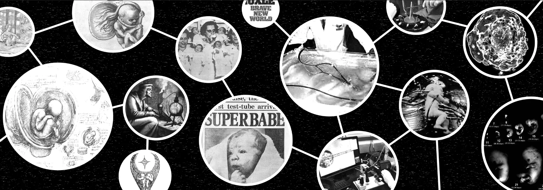 Artificial Womb: the Timeline