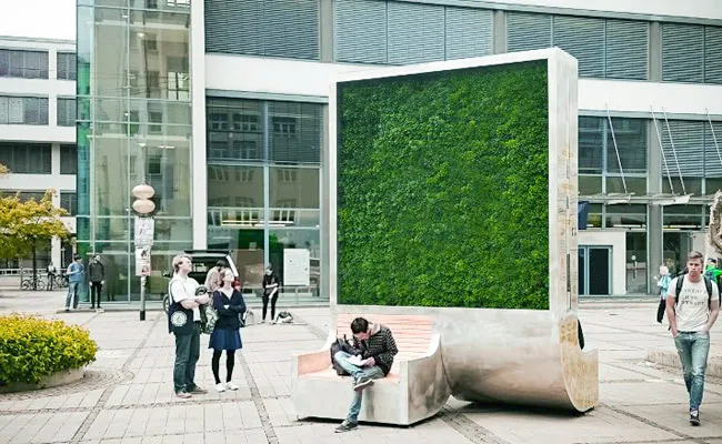 A Whole Forest on a Surface Area of 3.5m2