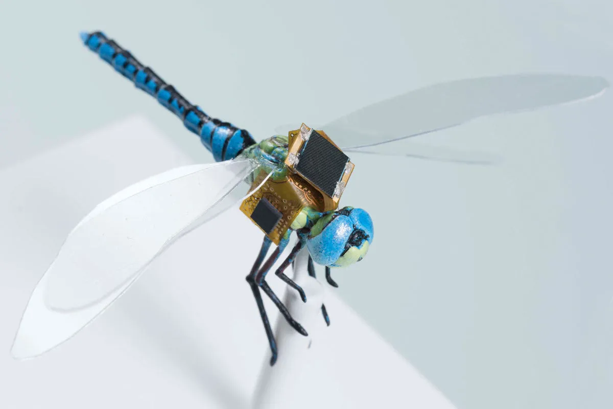 Cyborg Dragonfly for Special Service