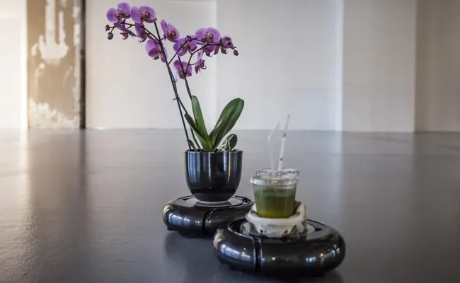 Disruptive Roombas Reflect on the IoT