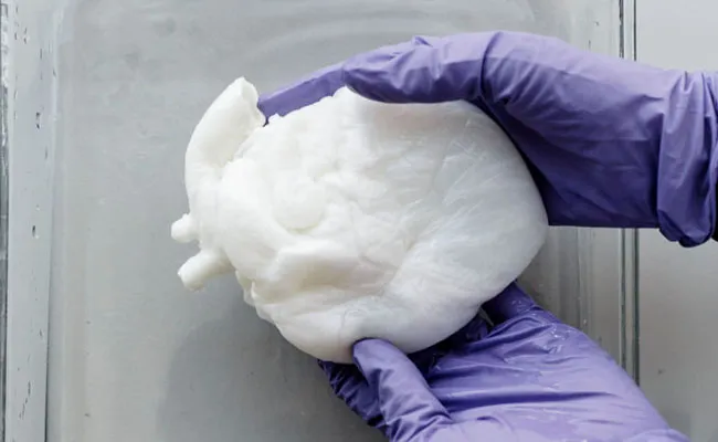 Scientists Create Ghost Heart