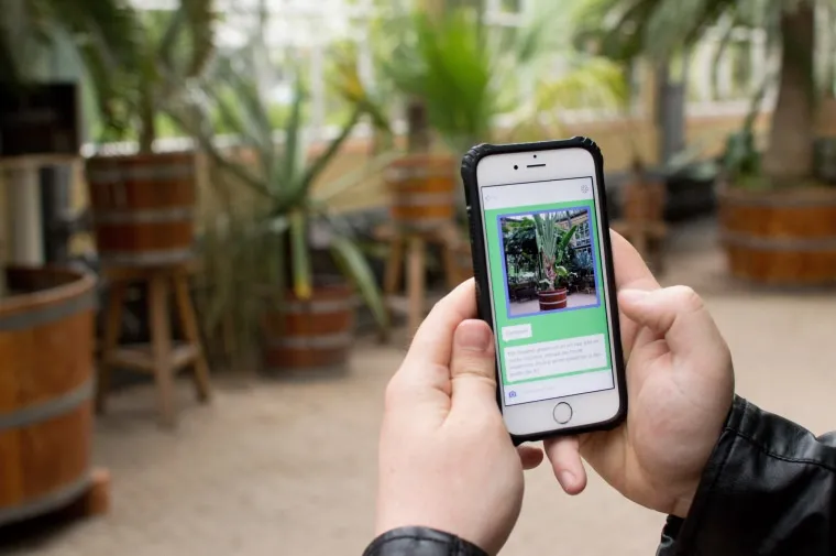 Chat with Plants in the Botanical Garden