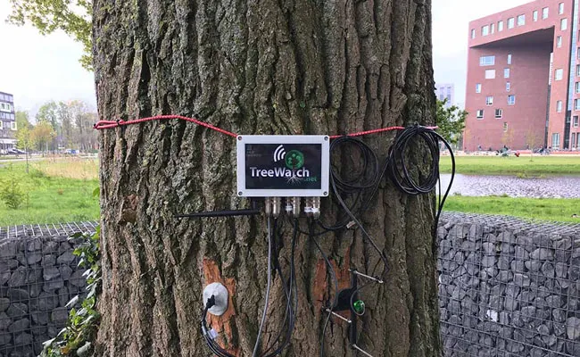 Twittering Trees Talk Climate Change