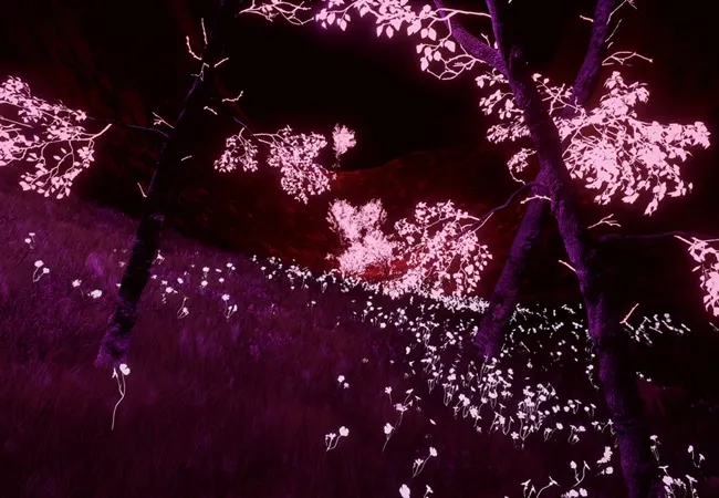 Visit the Hypernatural Resort