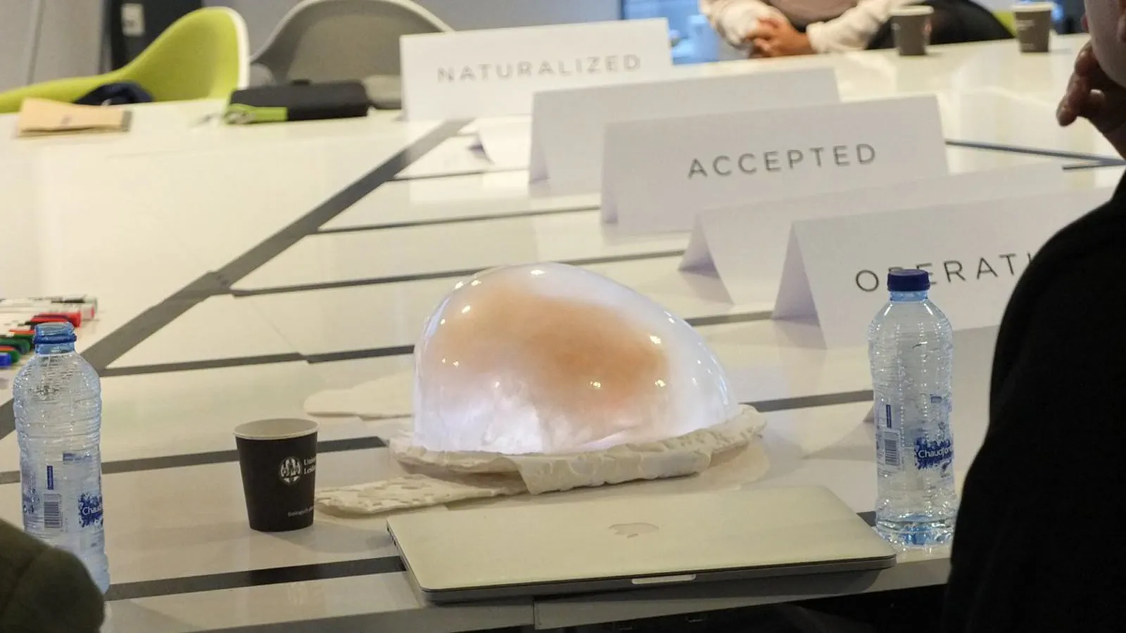 Artificial Womb Workshop at Border Sessions