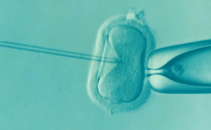 This controversial new test could be used to screen embryos for intelligence