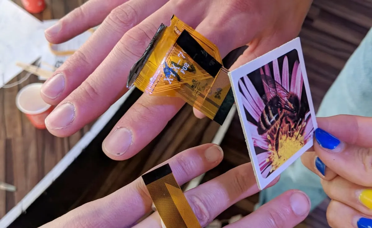 If you could have another sense, which sense would you choose?