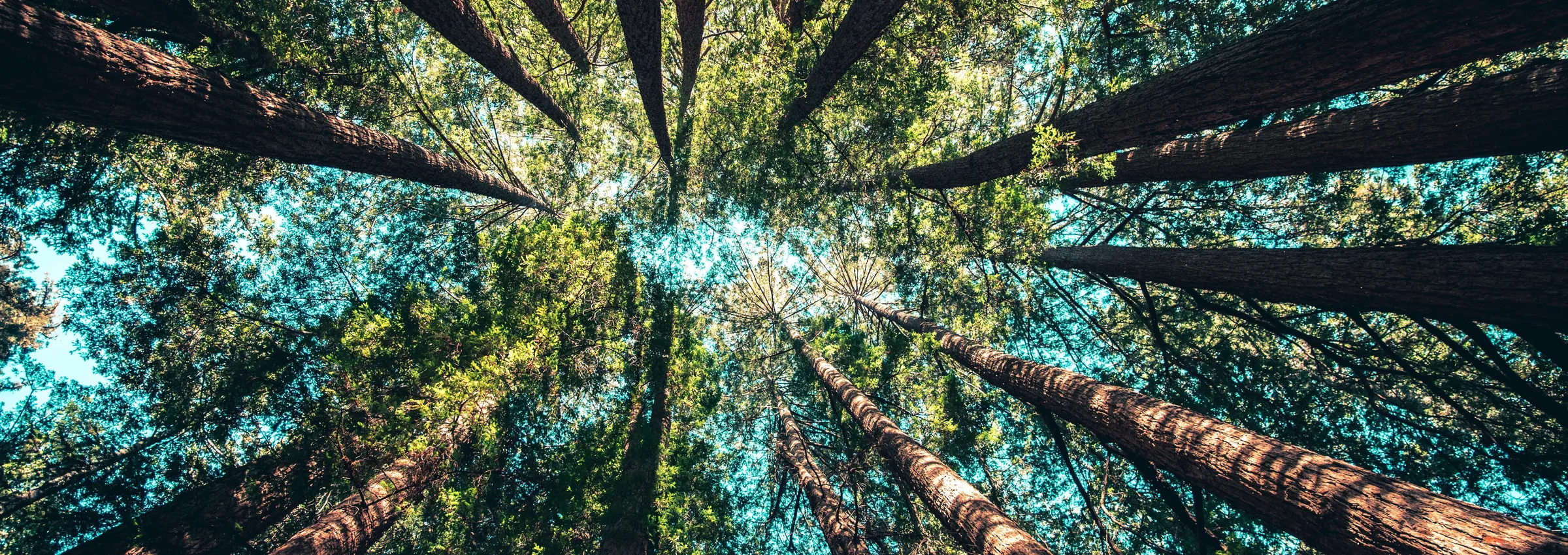 Why you should attend ADE Green