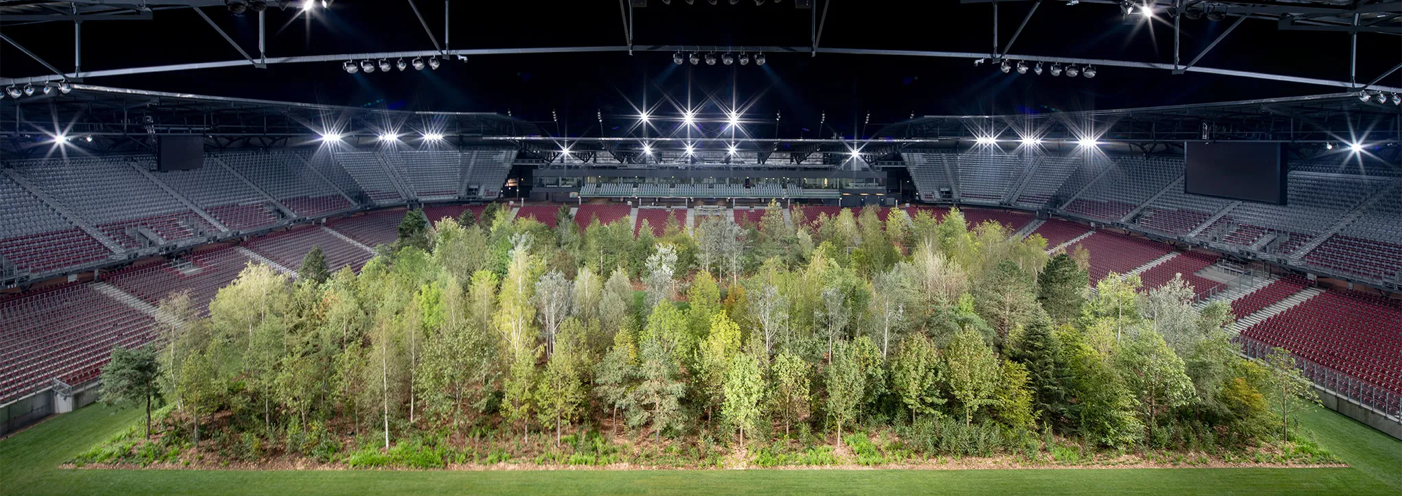 There are 299 trees growing in a football stadium
