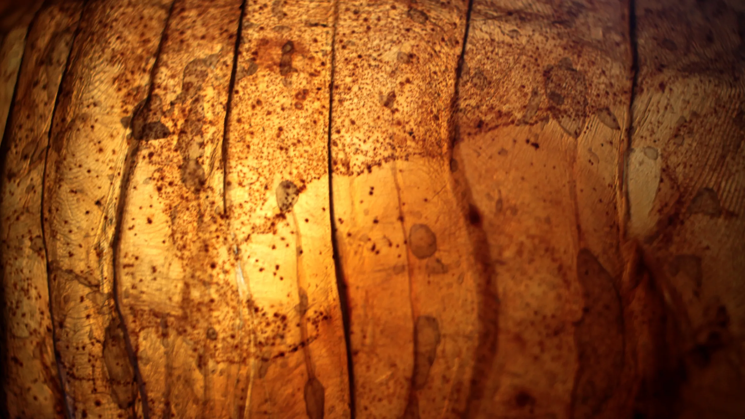 How to biofabricate leather