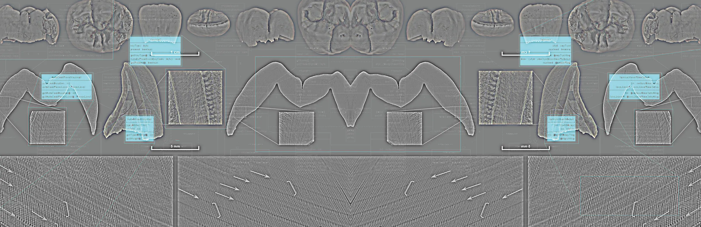 The Pyramid of Technology: How will we co-evolve with technology?