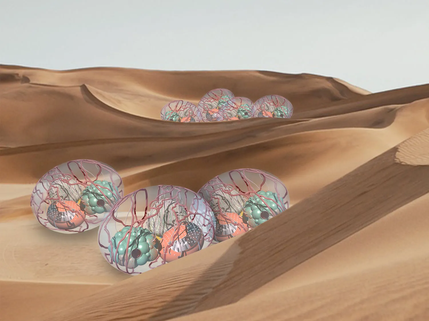 Next Generation: Unleashing nature’s untapped potential with Amelie Unger